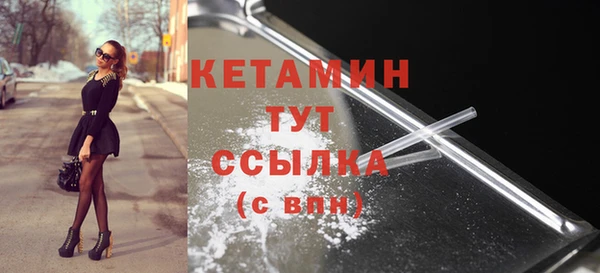 индика Дмитров