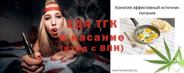 индика Дмитров