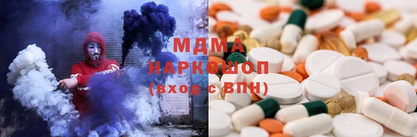 индика Дмитров