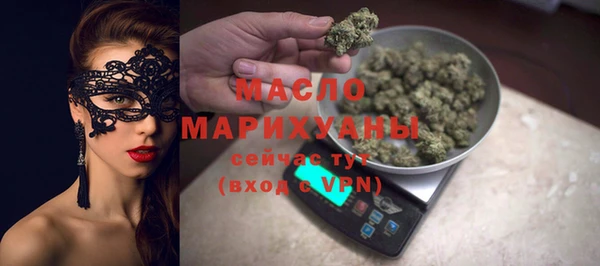 индика Дмитров