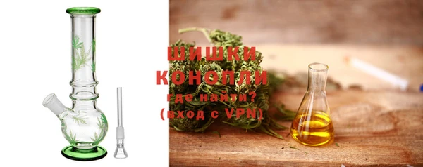 индика Дмитров