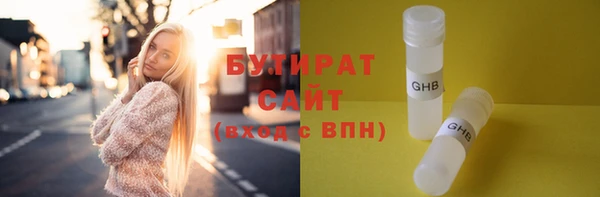 индика Дмитров
