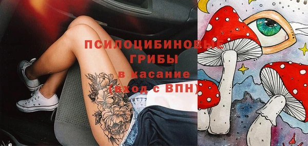 круглые Дмитриев