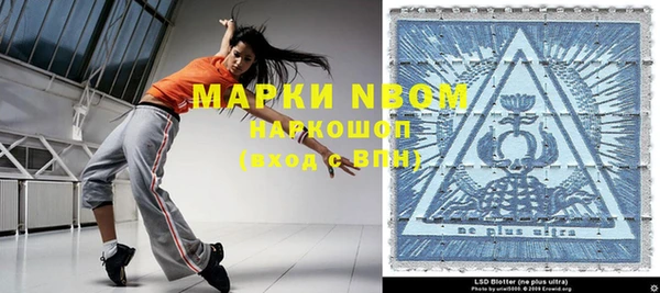 индика Дмитров