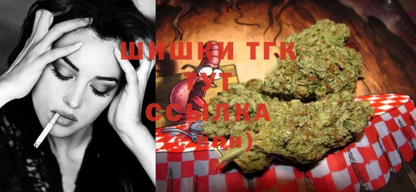 индика Дмитров