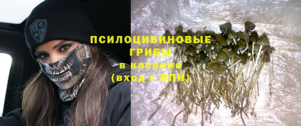 круглые Дмитриев