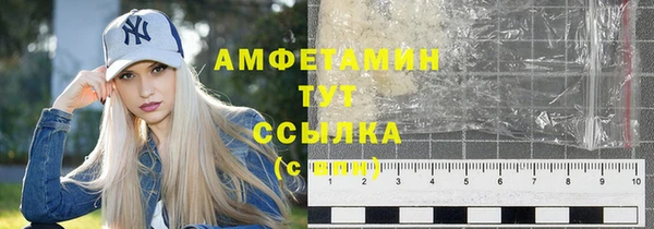 индика Дмитров
