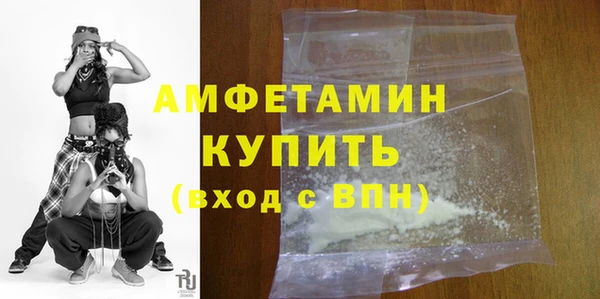 индика Дмитров