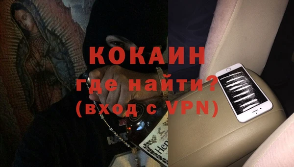 индика Дмитров