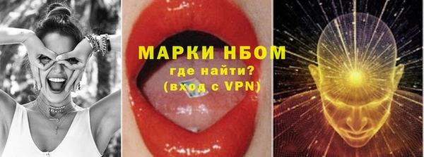 индика Дмитров