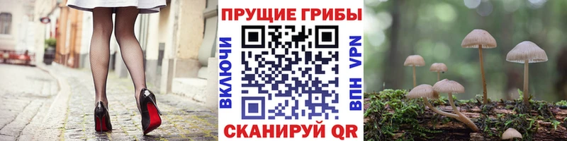 Купить  Черемхово  Псилоцибиновые грибы Magic Shrooms 